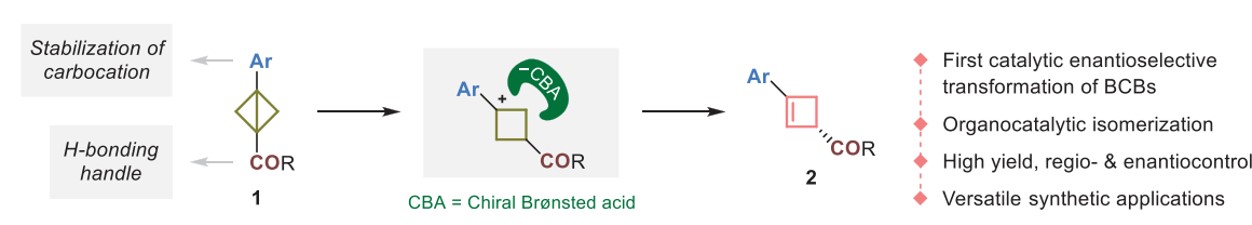 Enantioselective synthesis of chiral cyclobutenes enabled by Brønsted acid-catalyzed isomerization of BCBs