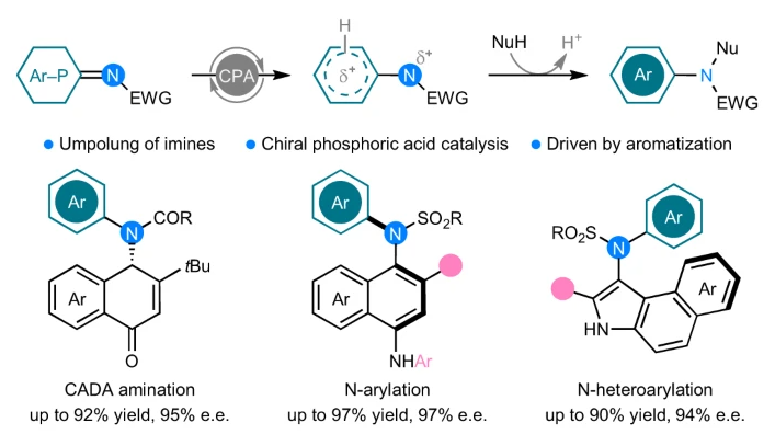 Organocatalytic aromatization-promoted umpolung reaction of imines