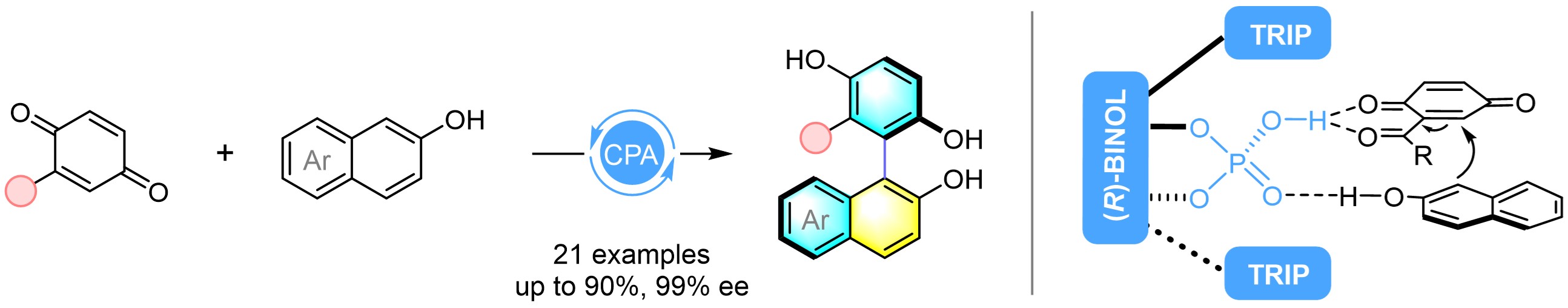 Atroposelective synthesis of axially chiral biaryldiols via organocatalytic arylation of 2‑naphthols