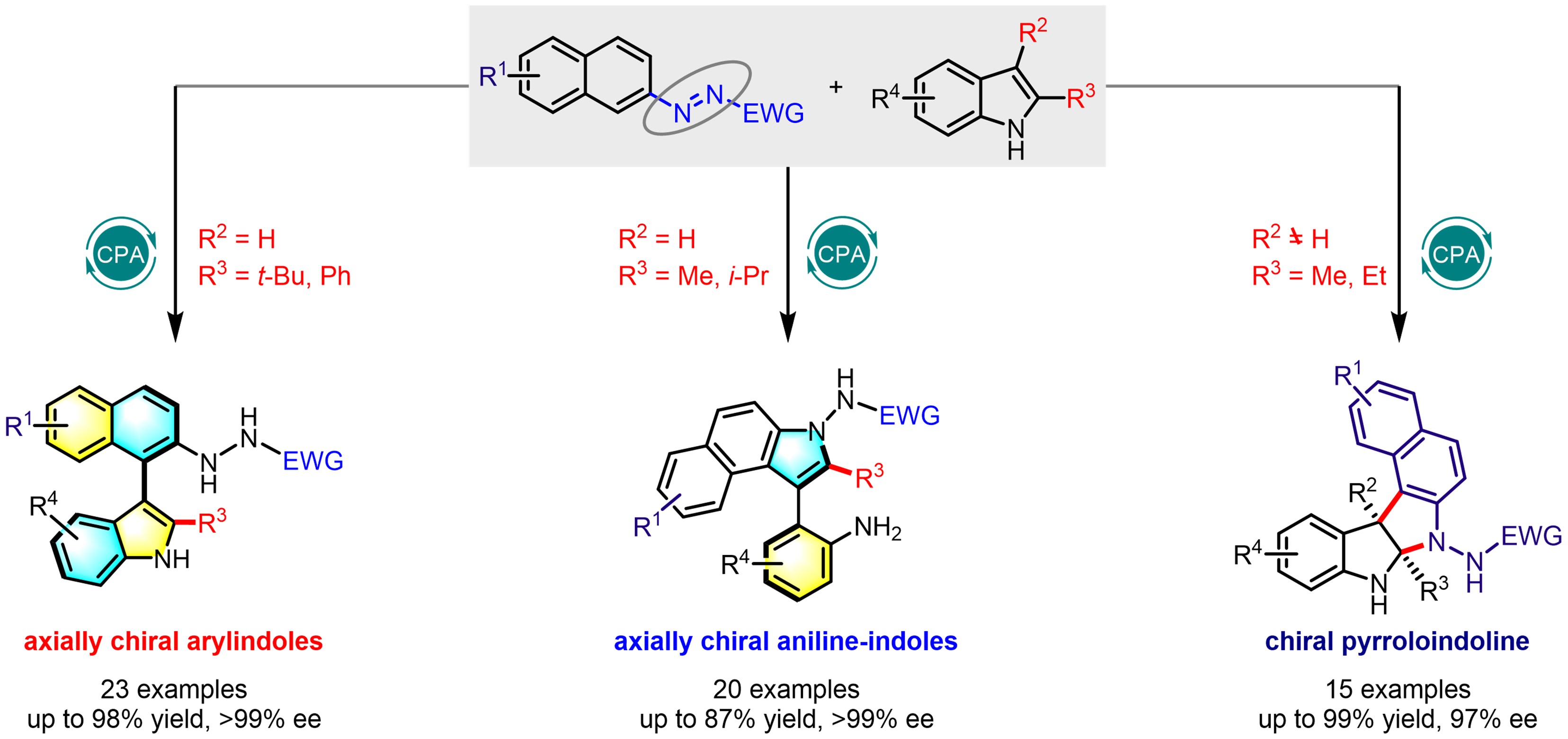 Organocatalytic asymmetric arylation of indoles enabled by azo groups