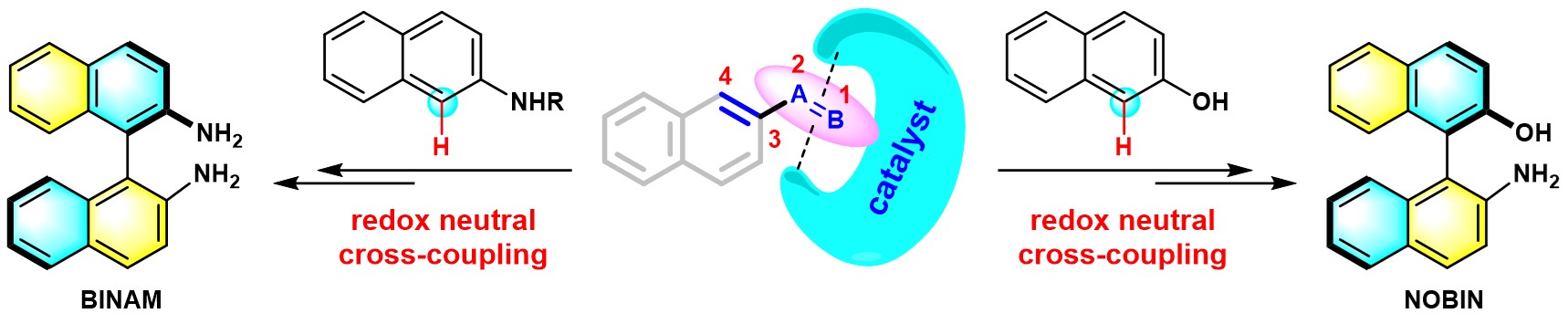 Asymmetric construction of atropisomeric biaryls via a redox neutral cross-coupling strategy