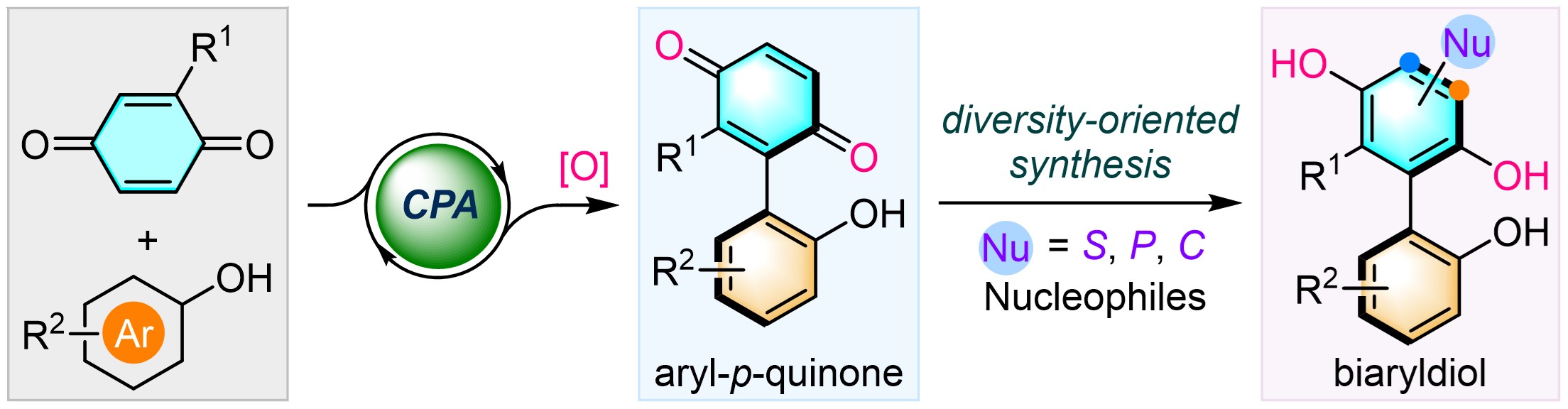Organocatalytic enantioselective synthesis of atropisomeric aryl-p-quinones: platform molecules for diversity-oriented synthesis of biaryldiols