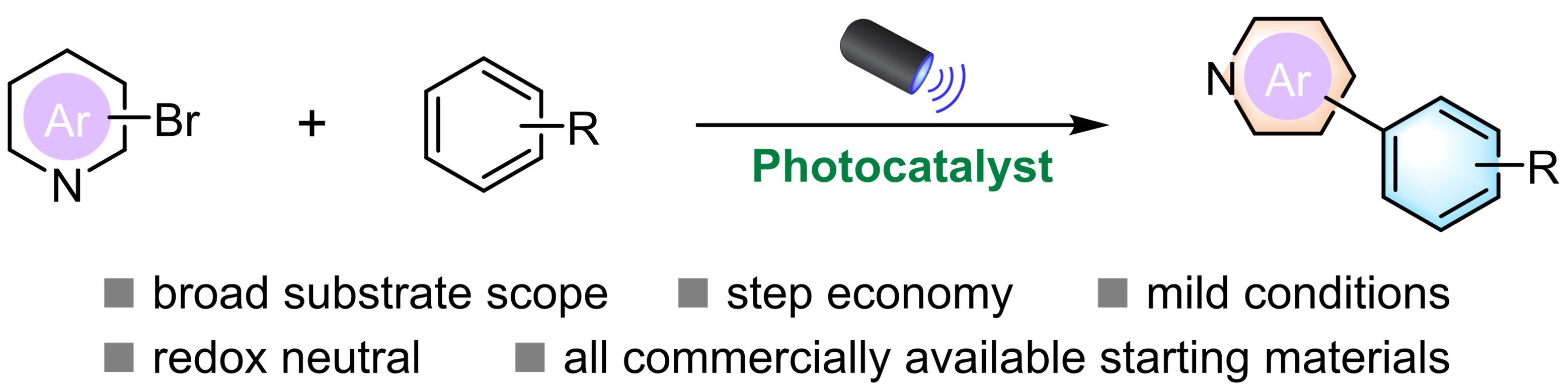 Direct arylation of N-heterocycles enabled by photoredox catalysis